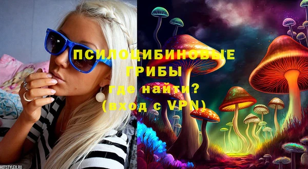 спайс Алзамай