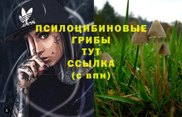 спайс Алзамай