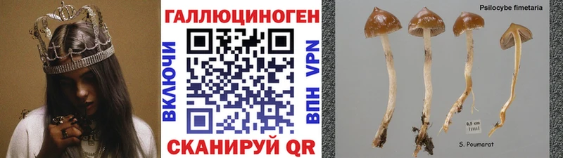 Псилоцибиновые грибы мицелий  Старая Купавна 