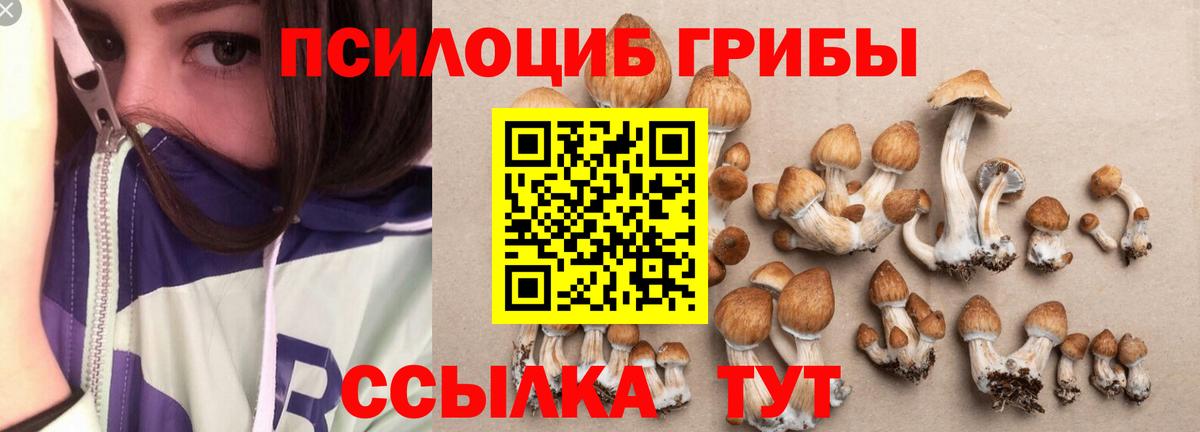 Старая Купавна  Псилоцибиновые грибы мицелий  Вход с VPN  Галлюциногенные грибы Psilocybine cubensis 