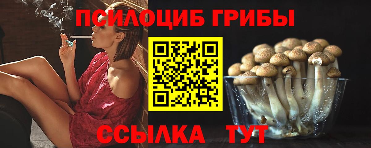 Галлюциногенные грибы Psilocybine cubensis Старая Купавна